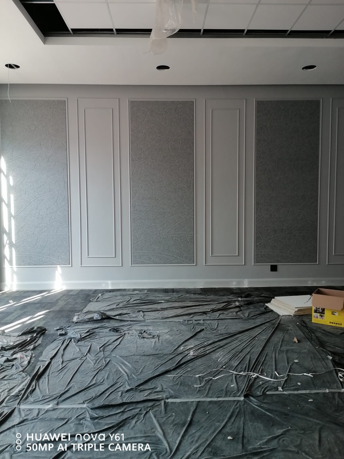 Interior painting project