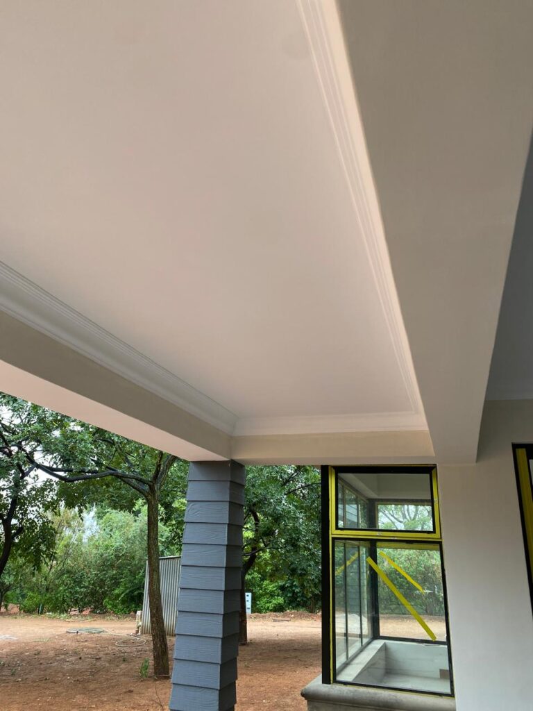 Rhinolite & ceiling finishes project